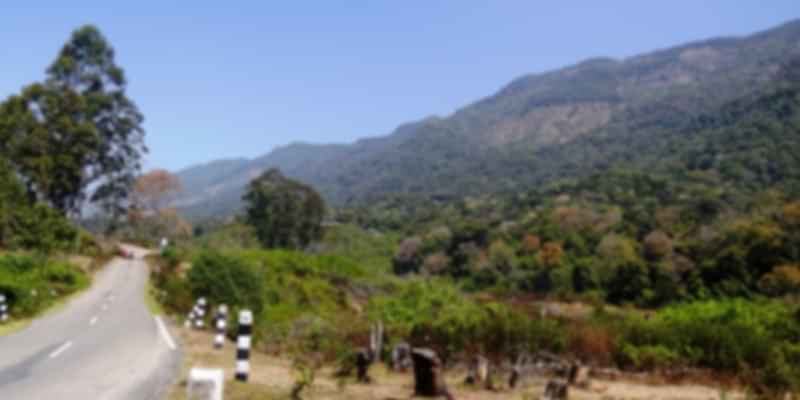Pambadum Shola,