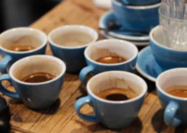 Famous German Cuisine and Traditions for the Culturally Curious Traveller