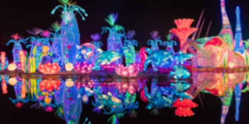 Dubai Garden Glow