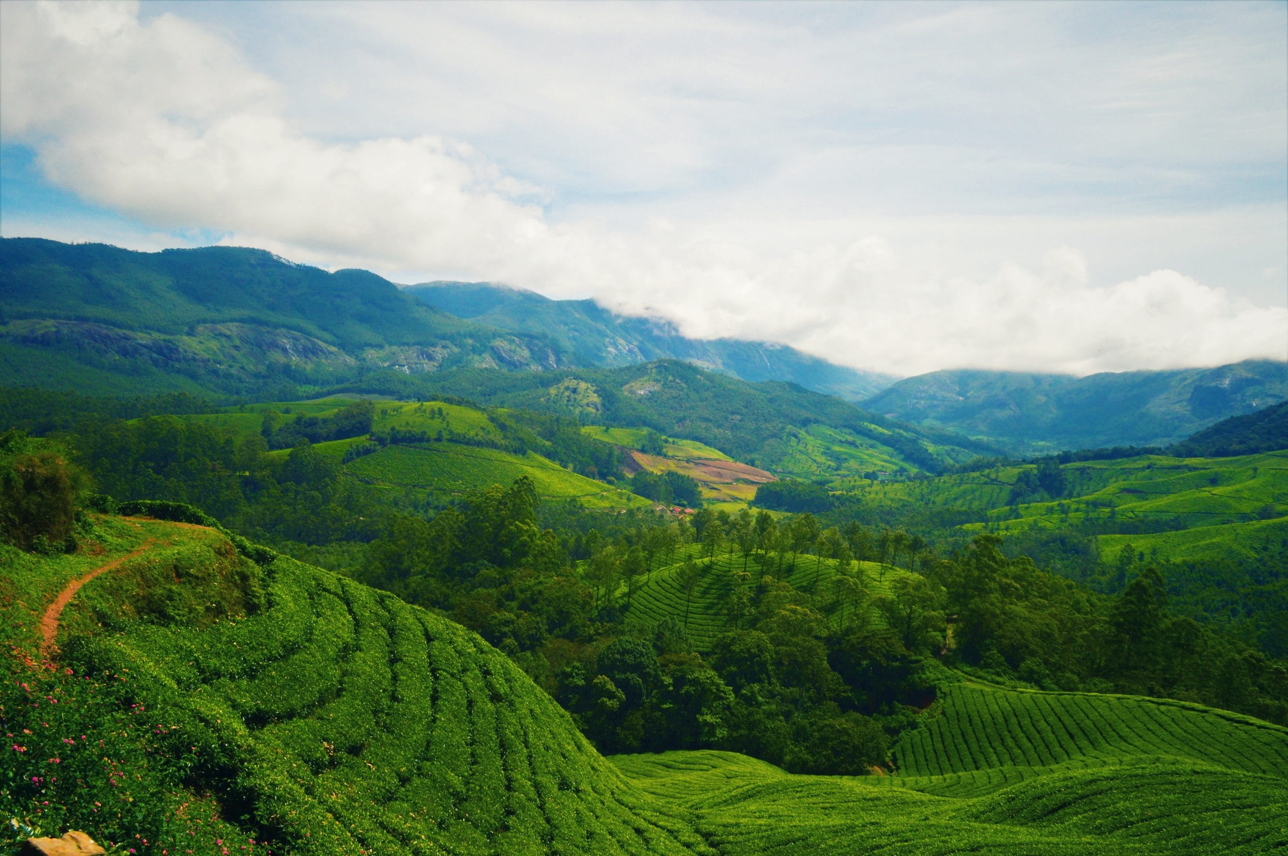 Highest Peaks In Kerala – Have a birds-eye view of God’s own country