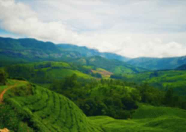 Highest Peaks In Kerala – Have a birds-eye view of God’s own country