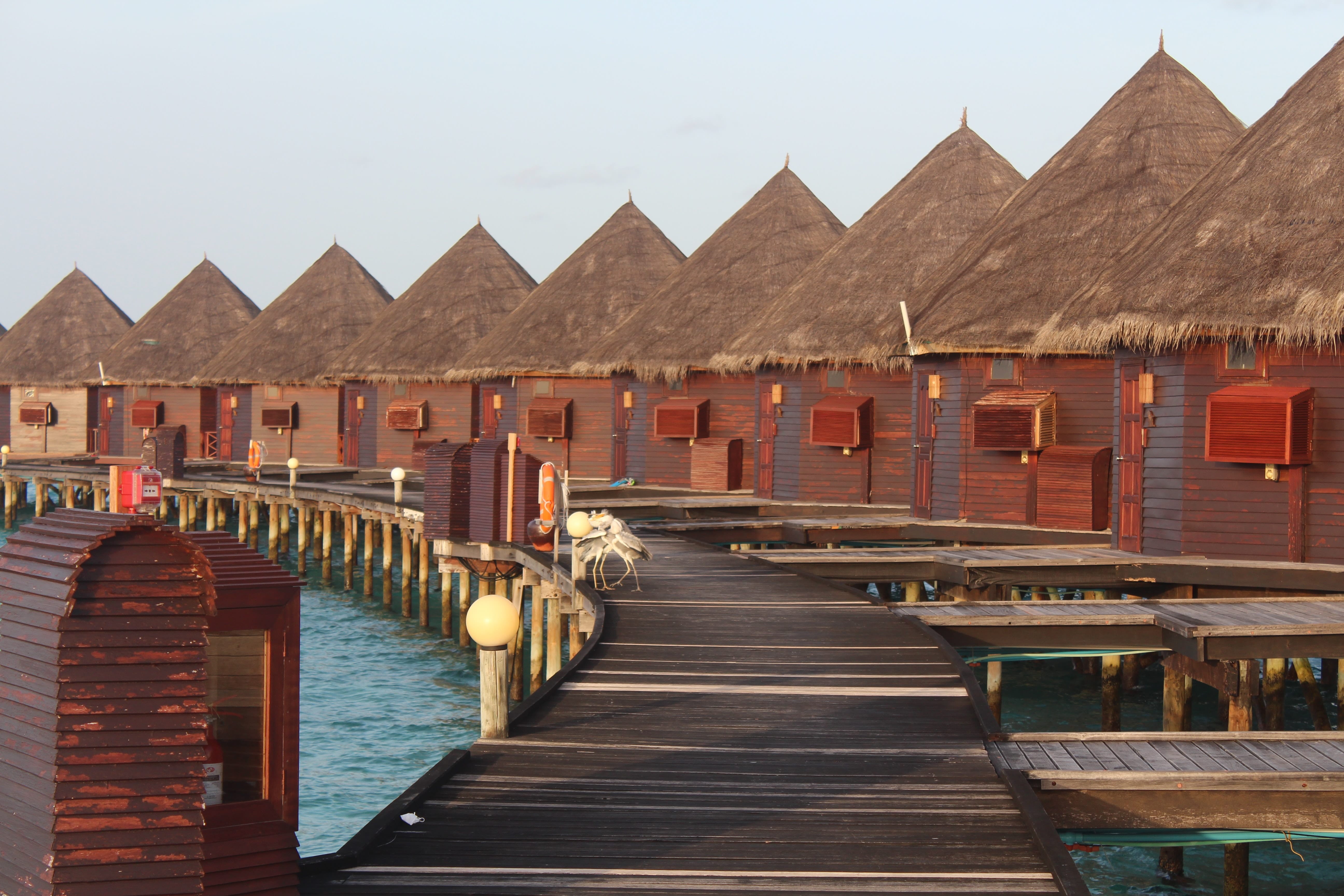 Maldives Language: Everything you need to know
