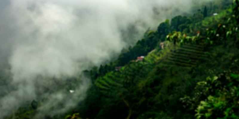 Darjeeling