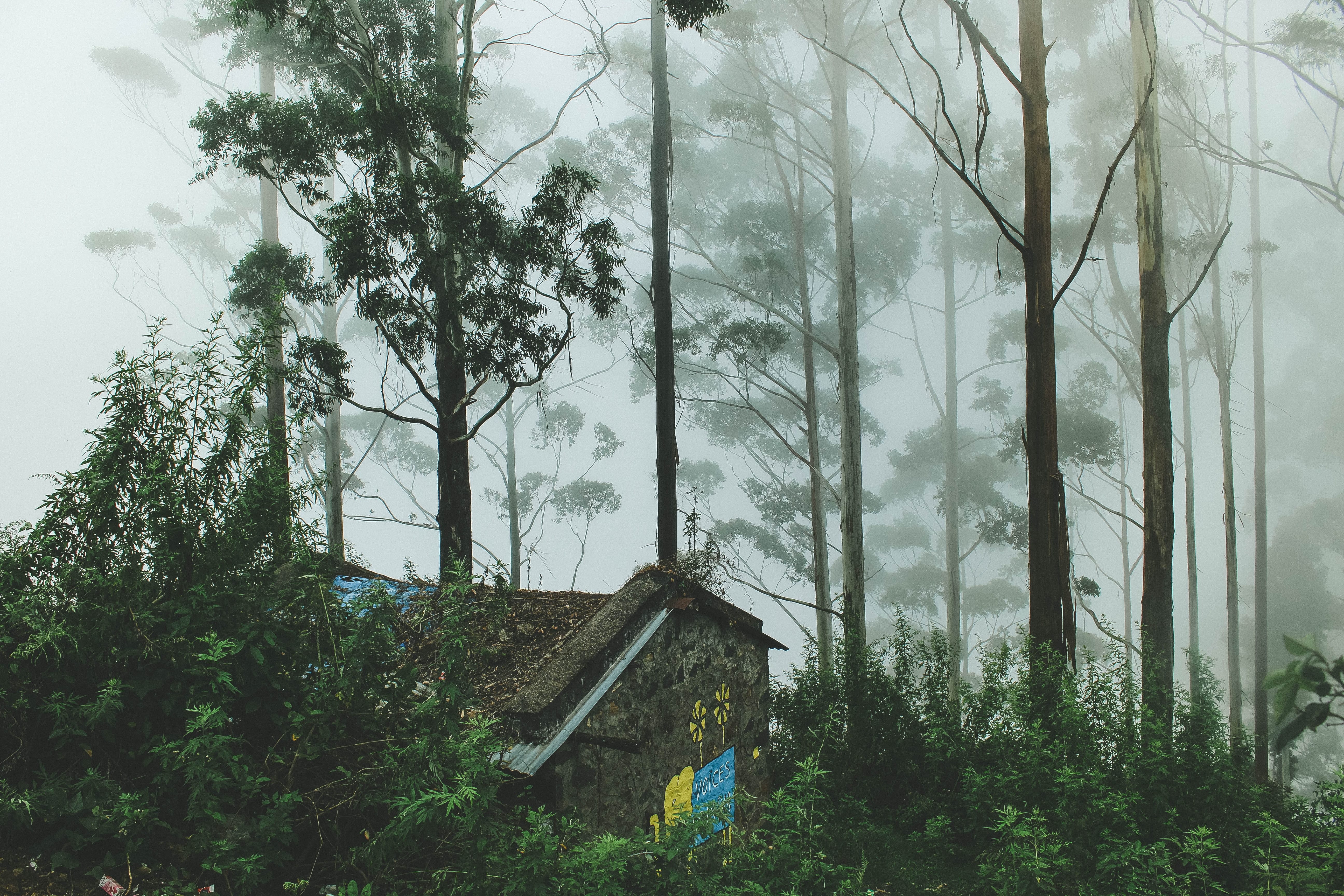 Resorts In Kodaikanal For Family – For A Super-Comfortable Stay!