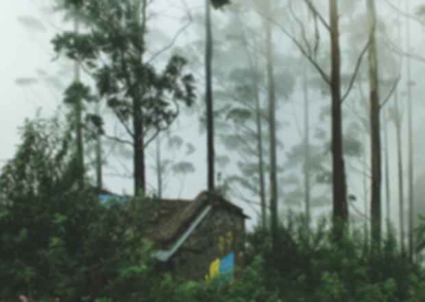 Resorts In Kodaikanal For Family – For A Super-Comfortable Stay!