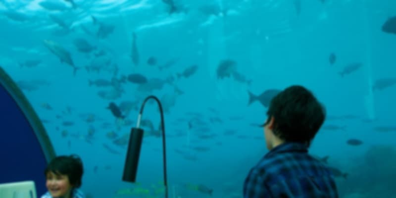 ITHAA UNDERSEA SEAFOOD RESTAURANT IN THE MALDIVES