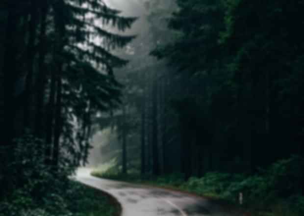 Sri Lanka in November 2025 – A Roller Coaster your Hearts Craves!