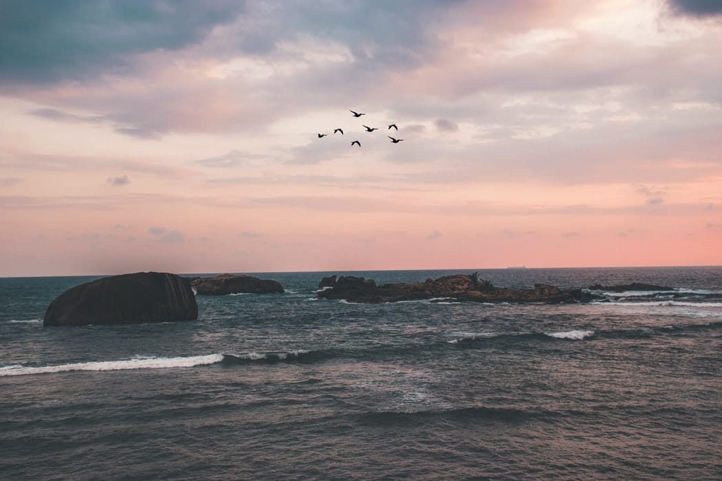 The ideal 8 Day itinerary to Sri Lanka