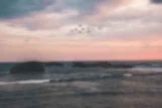 blog-card