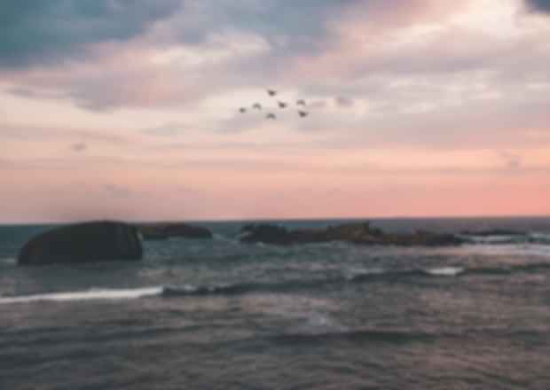 The ideal 8 Day itinerary to Sri Lanka