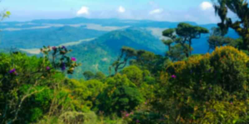 A scenic view in Horton Plains National Park