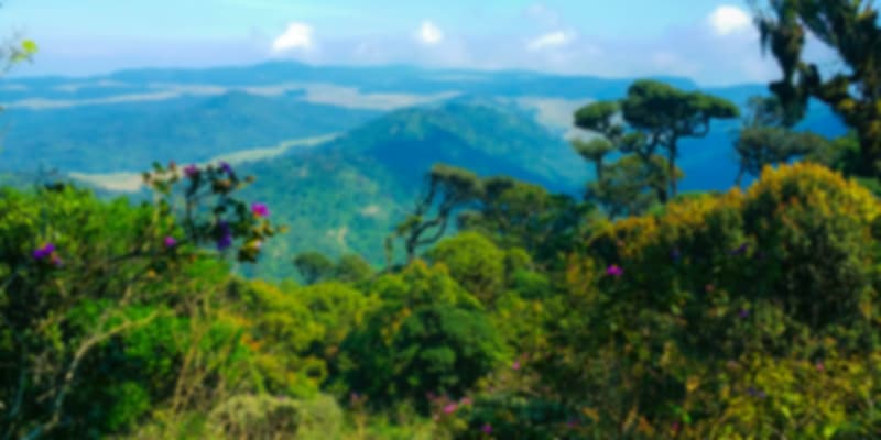 A scenic view in Horton Plains National Park