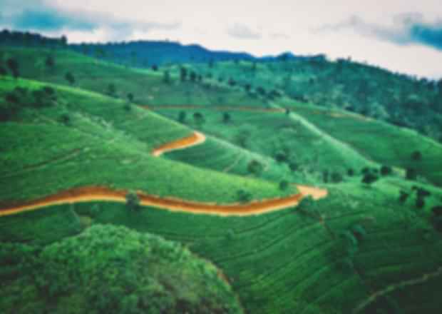 Sri Lanka in August – A delightful tale in your favourite island!