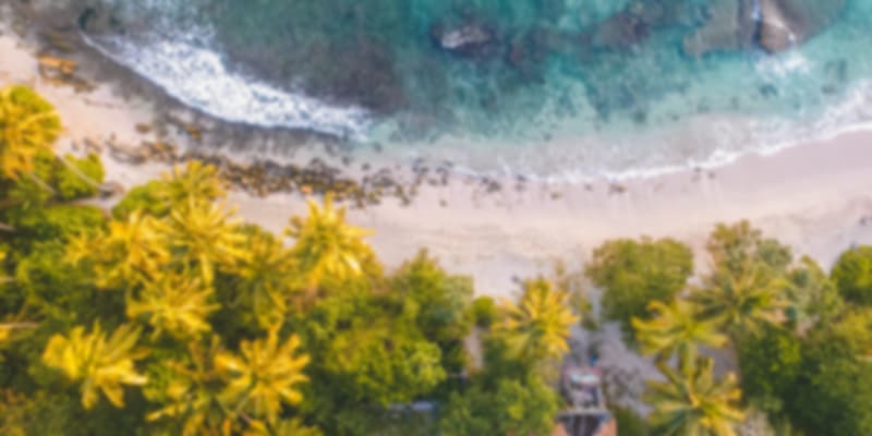 Aerial view of Sri Lankan coast