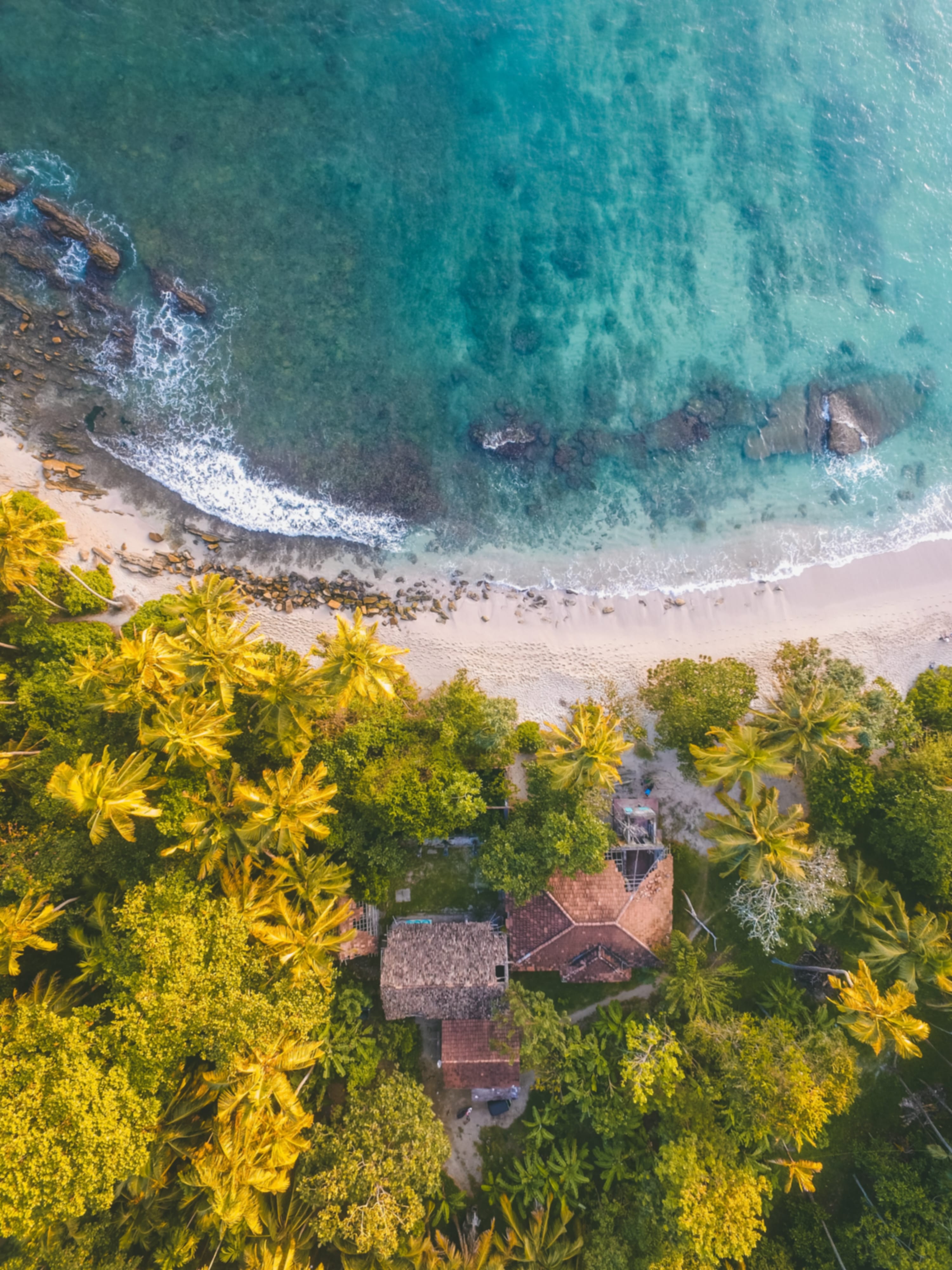 Sri Lanka in July 2026: Weather, Best Places to Visit & Travel Tips