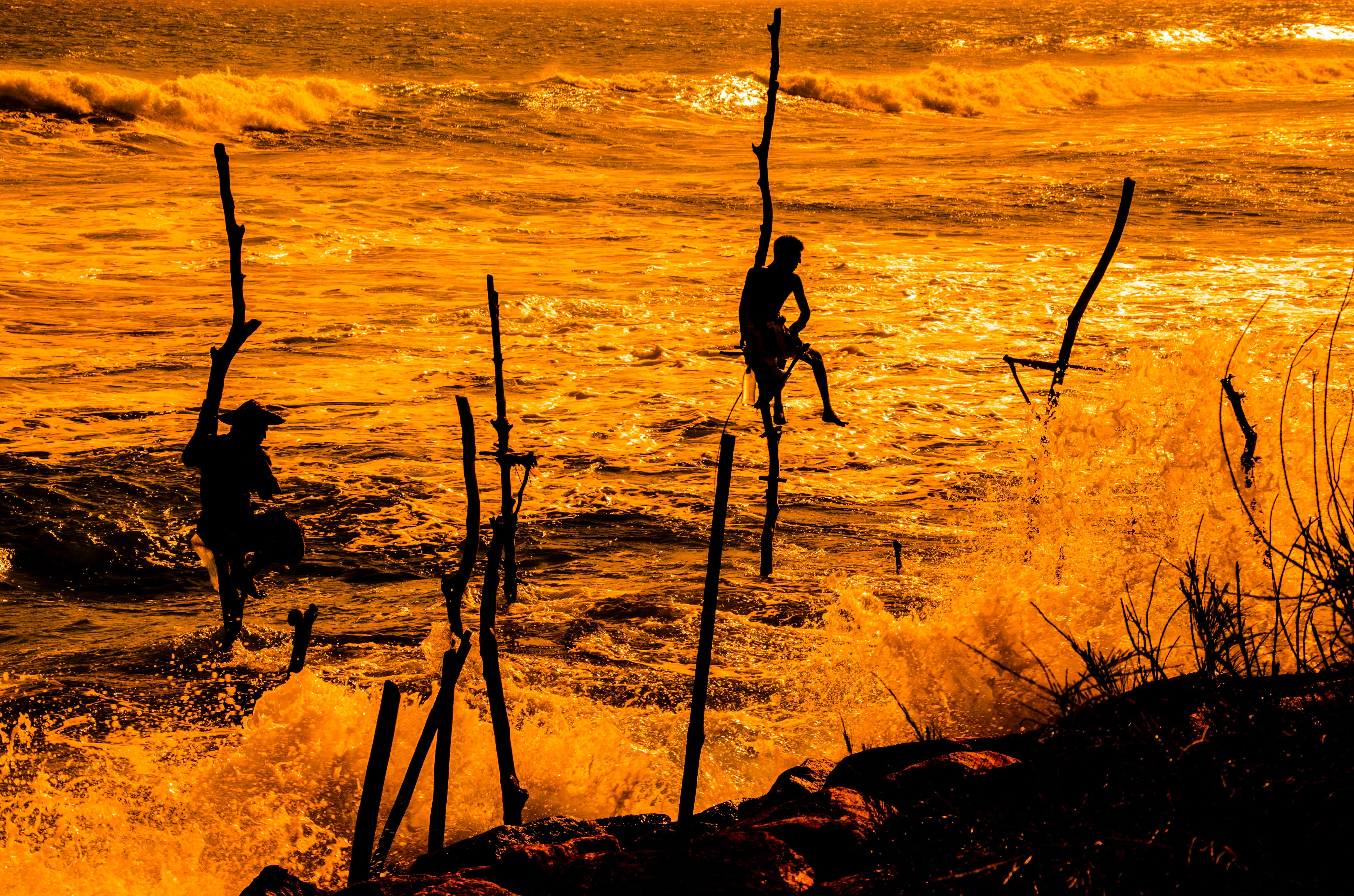 Top 10 Islands in Sri Lanka You’ve Got to Visit for a Calming Retreat!