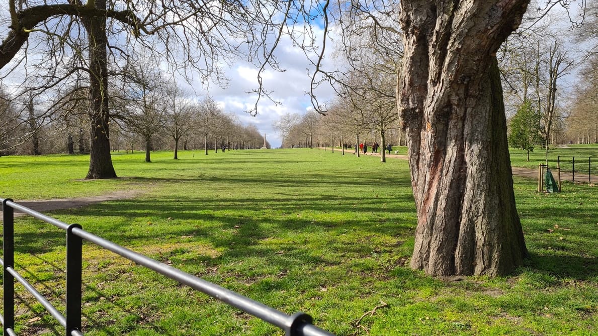 Free Things to Do in London – 10 Must-See Experiences