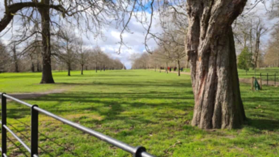 Free Things to Do in London – 10 Must-See Experiences