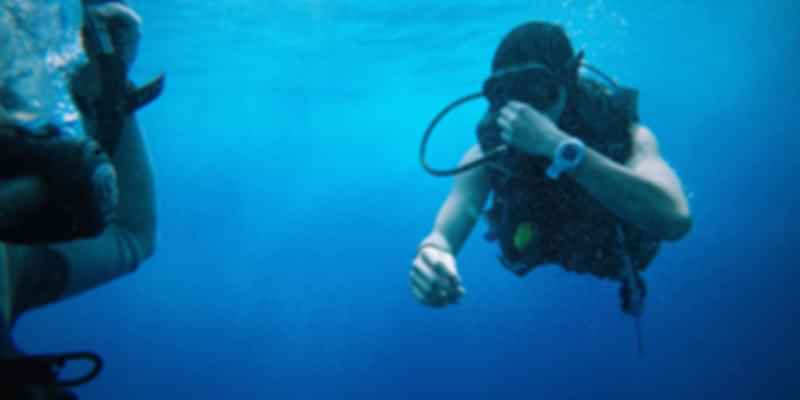 Snorkeling in the Maldives