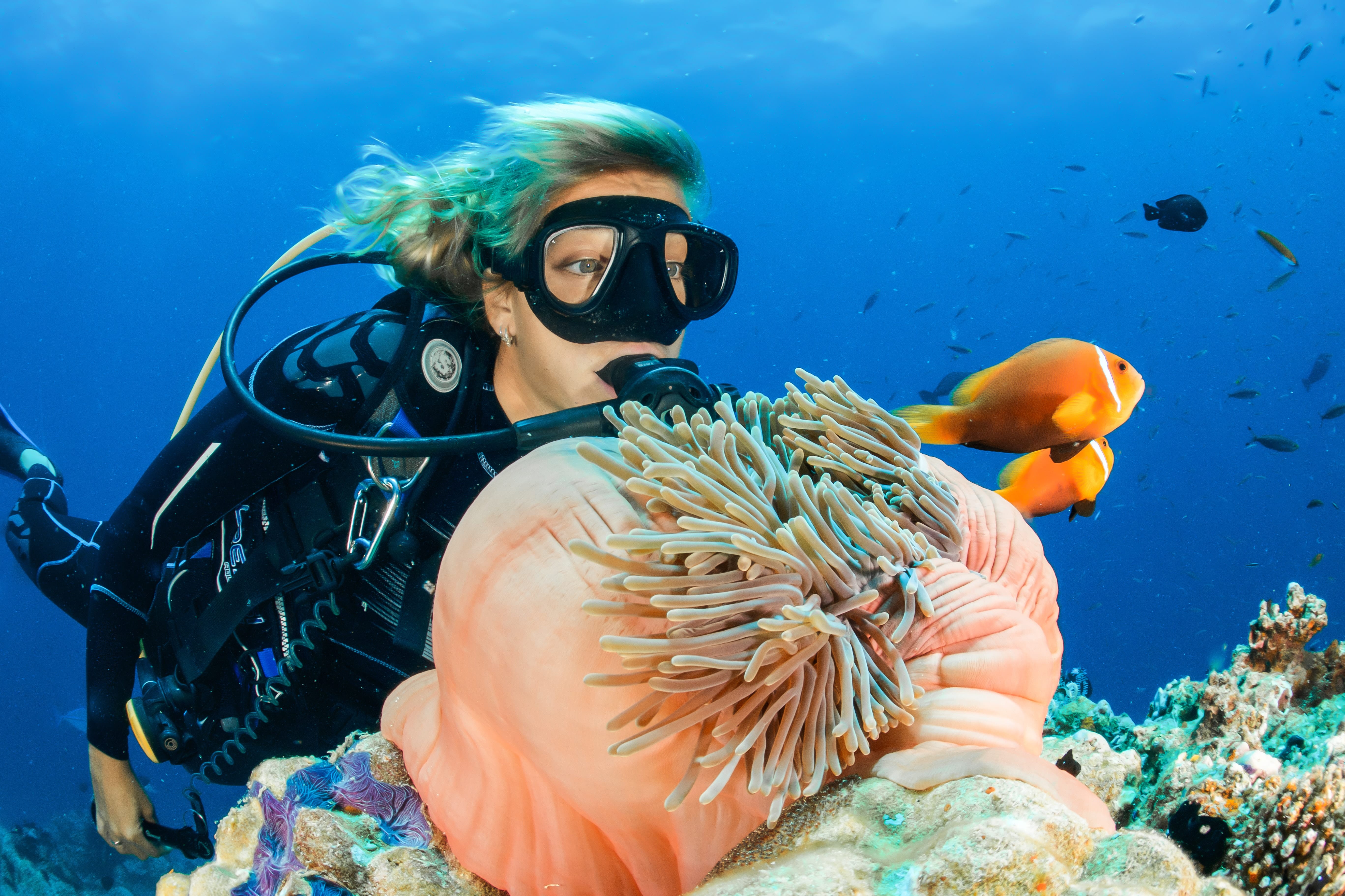 Snorkelling Resorts With The House Reefs In The Maldives—Add Colours To Your Stay!