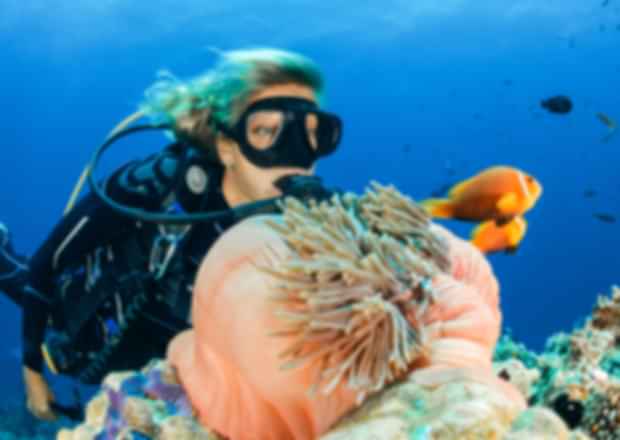 Snorkelling Resorts With The House Reefs In The Maldives—Add Colours To Your Stay!