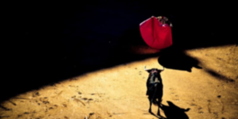 Festival of San Fermín/Running of the Bulls