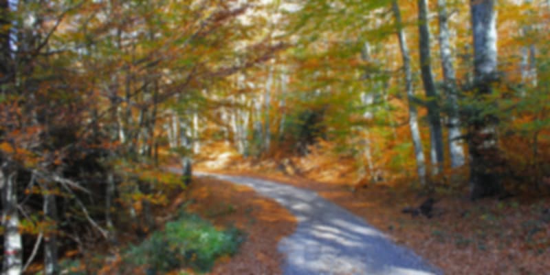 Strolling In Shores And Villages, Things To Do In France in November