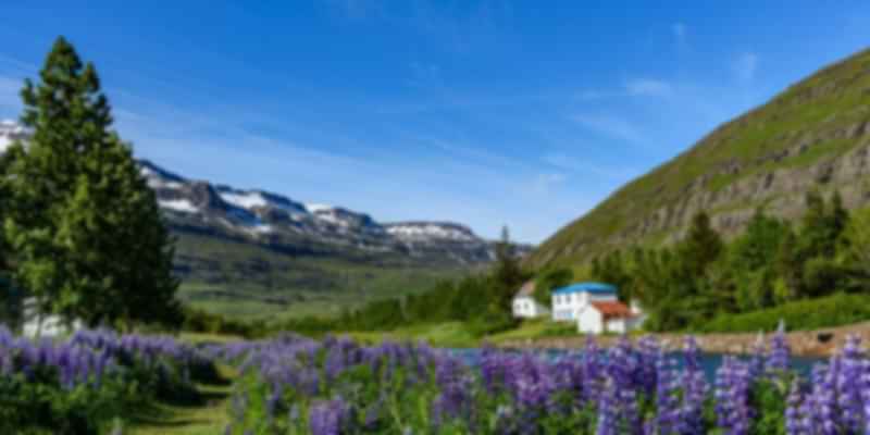 Weather in Iceland in June, Iceland in June