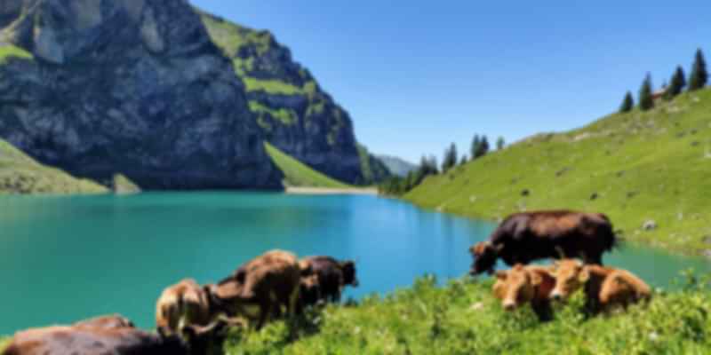 Bannalpsee