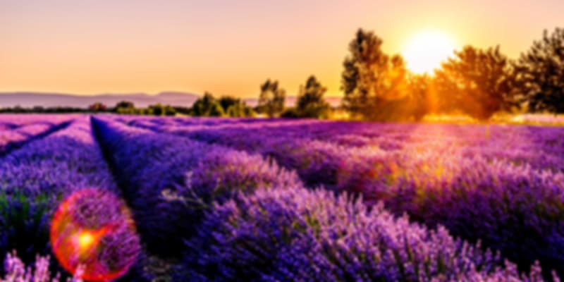 Provence, France in September