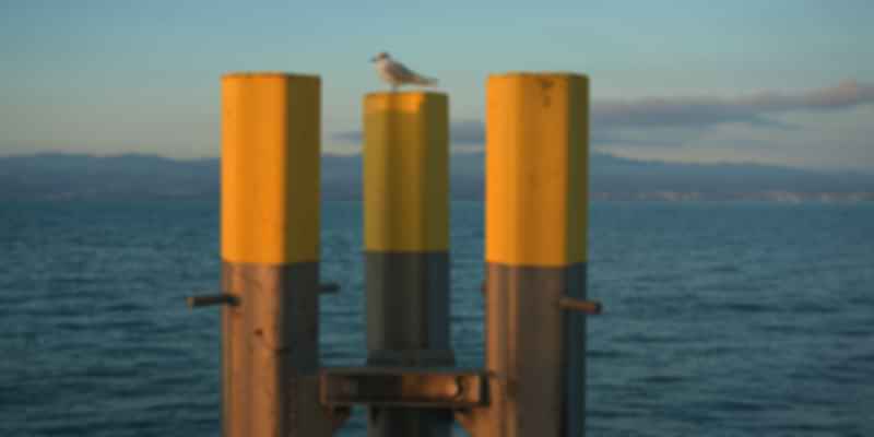 Lake Constance
