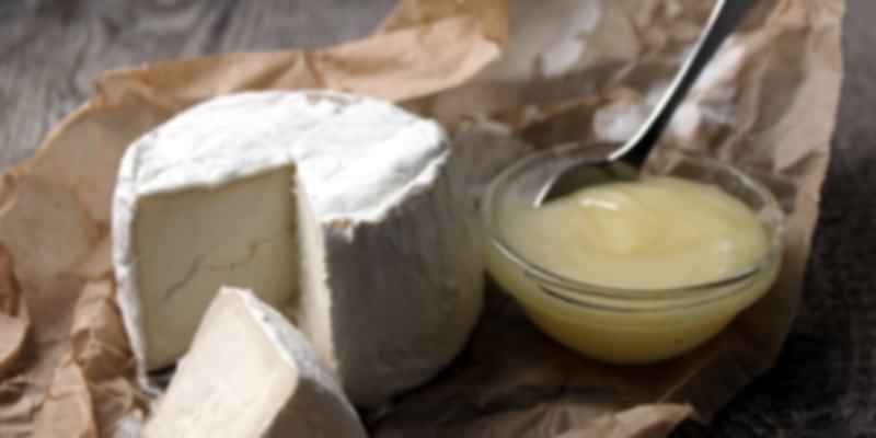 cheese