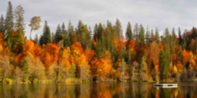Crestasee