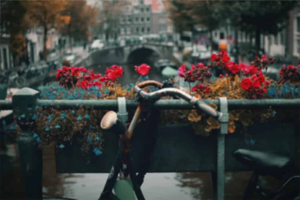 10 Best Day Trips from Amsterdam-For a blissful vacation!