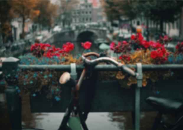 10 Best Day Trips from Amsterdam-For a blissful vacation!