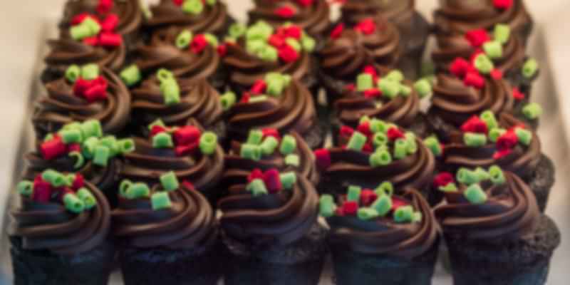 Chocolate Festival