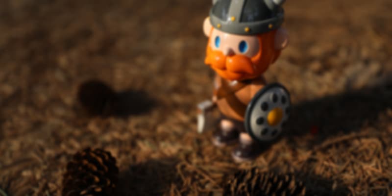 Viking, Souvenirs to bring back from Iceland