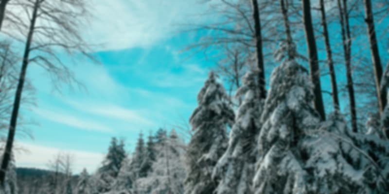 You can enjoy the main attractions in solitude