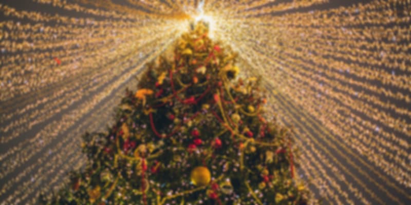 Decorating Christmas Trees, Events In Croatia In December