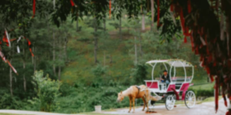 Entour On A Horse Carriage Ride