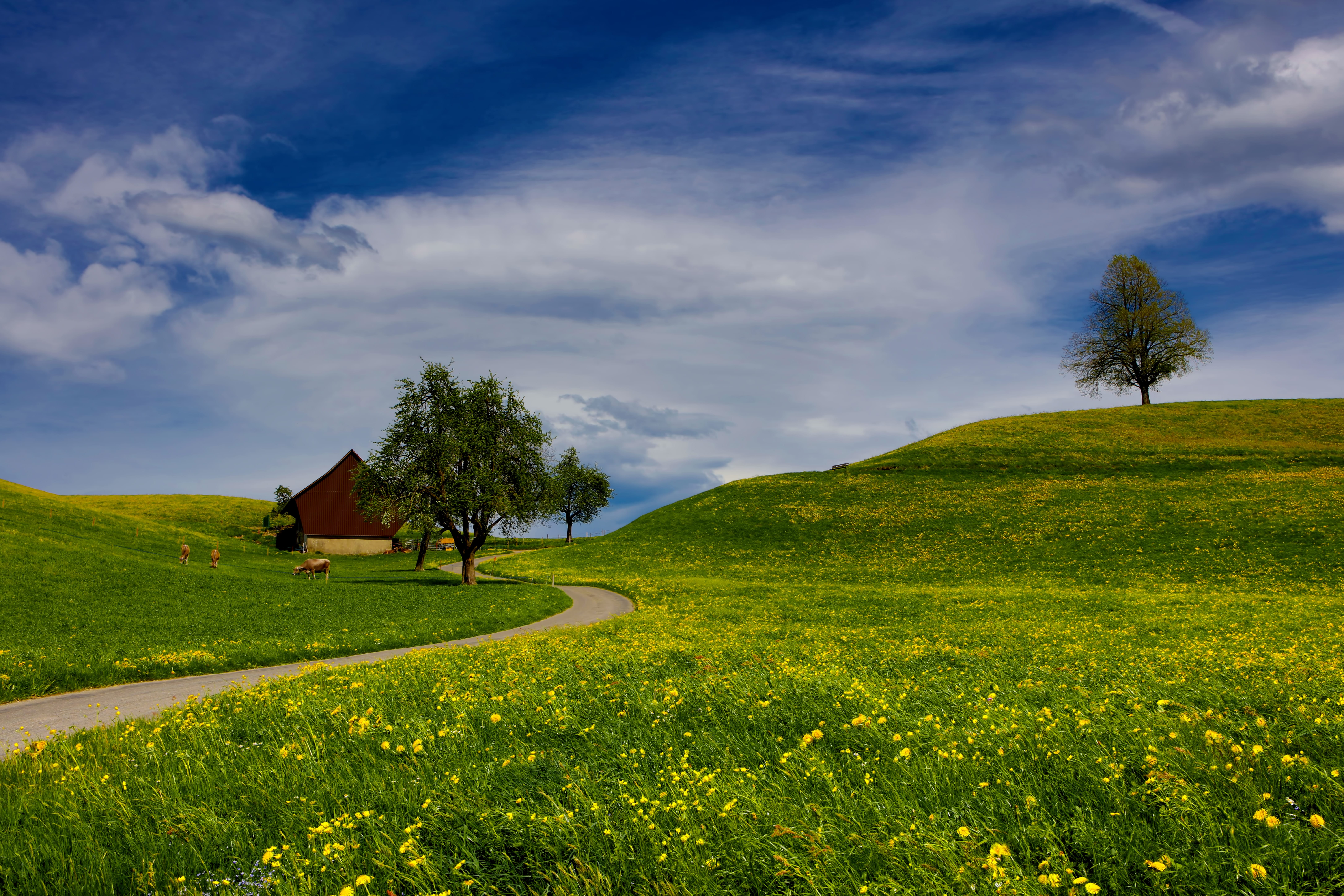 Swiss Train Journeys – Routes, Passes & Scenic Tips