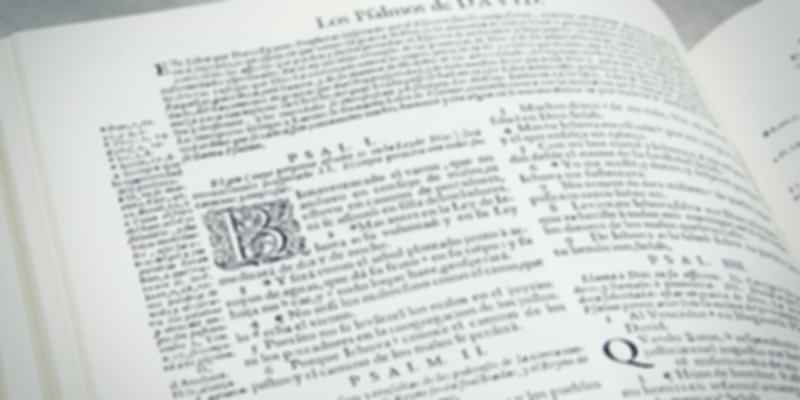 Seville, Spain, Learn the language, Reasons to visit Spain