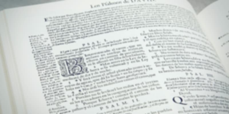 Seville, Spain, Learn the language, Reasons to visit Spain