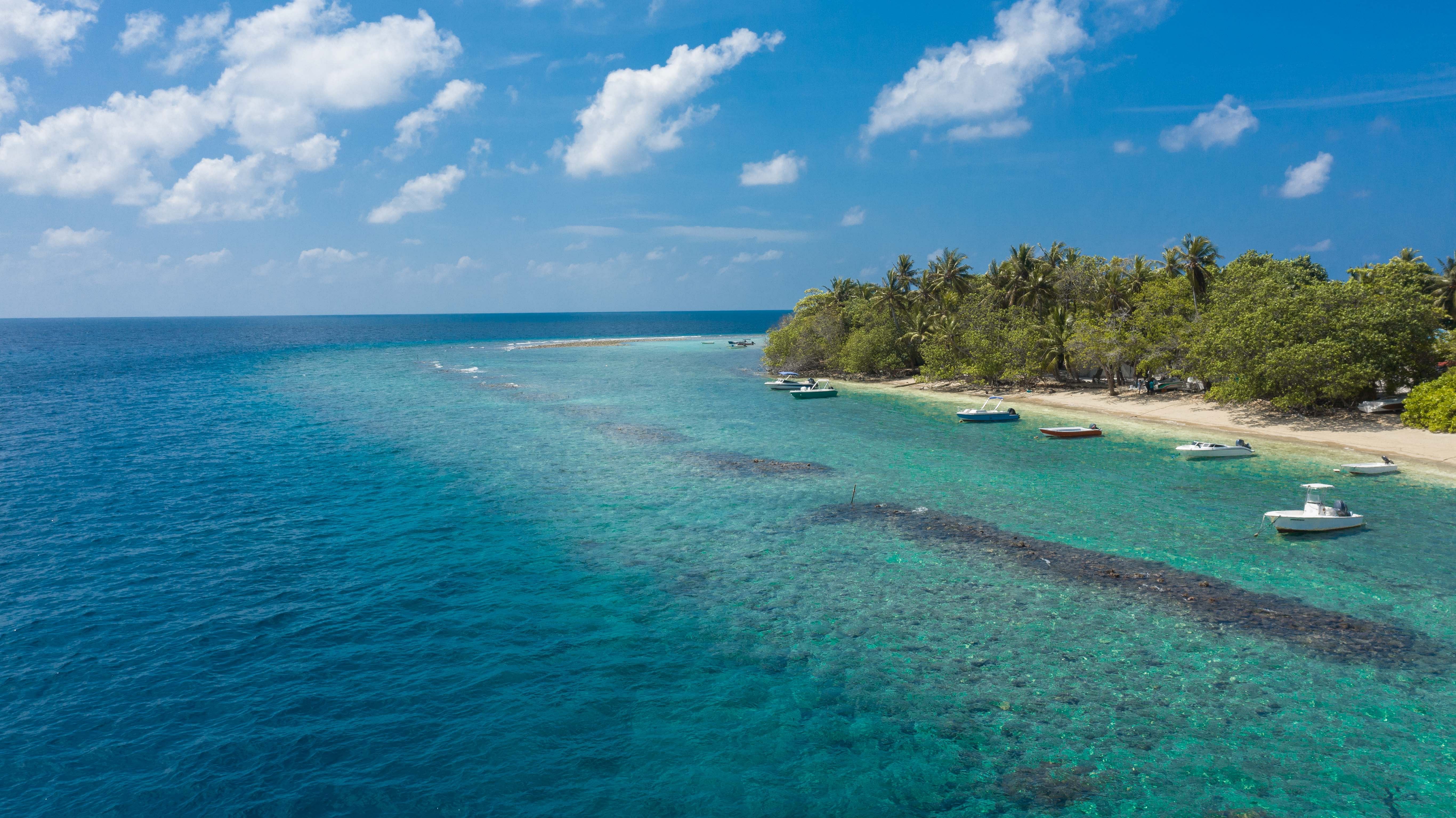 Day 8: Manta Ray Diving on Rasdhoo Island