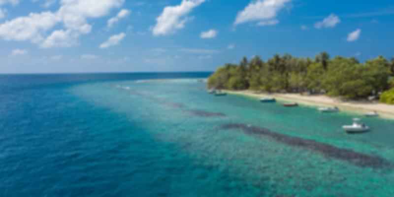 Day 8: Manta Ray Diving on Rasdhoo Island