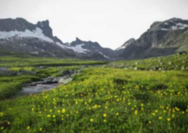 Norway In March- A Handy Guide For Planning An Ideal Holiday!