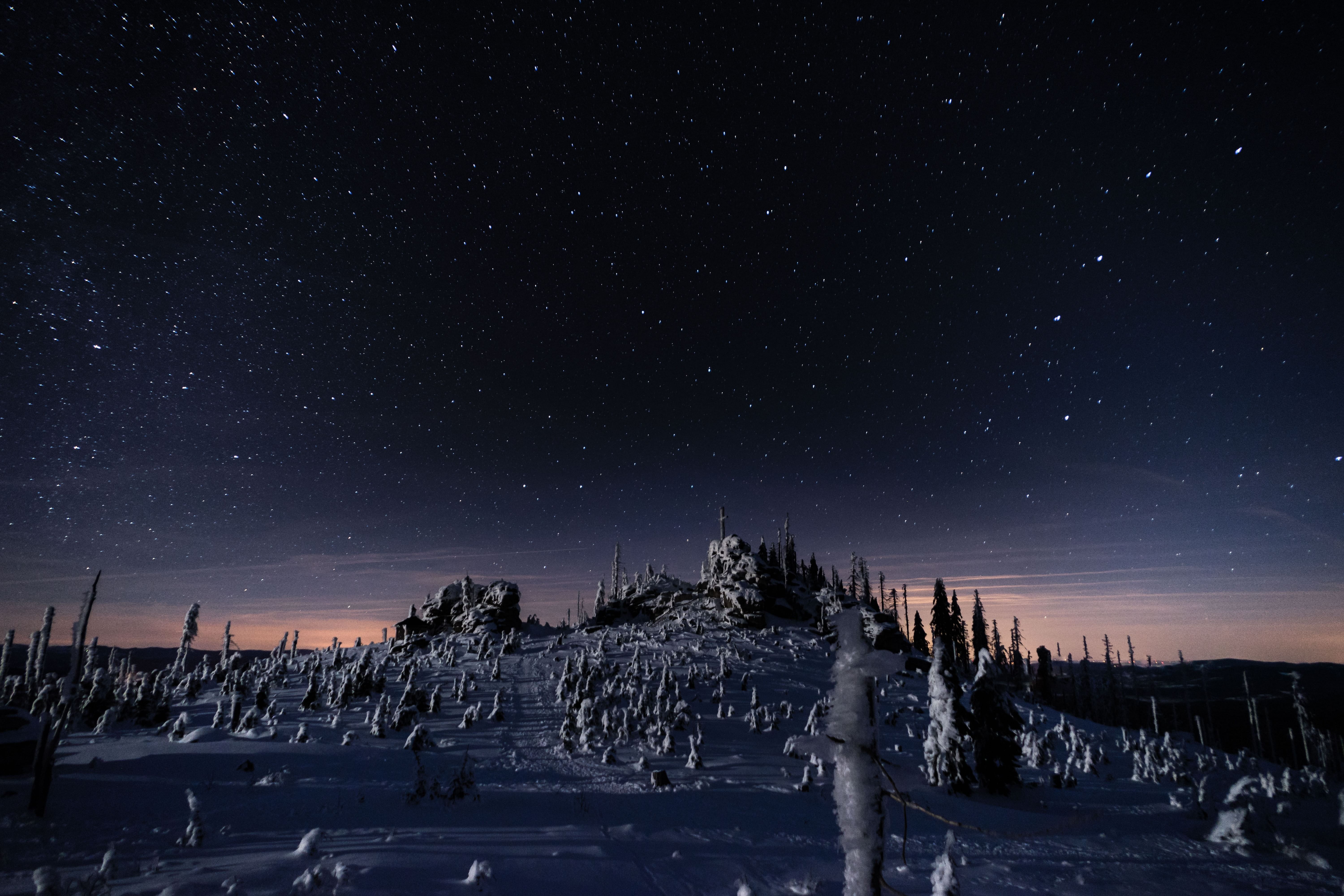 Bavarian Forest National Park