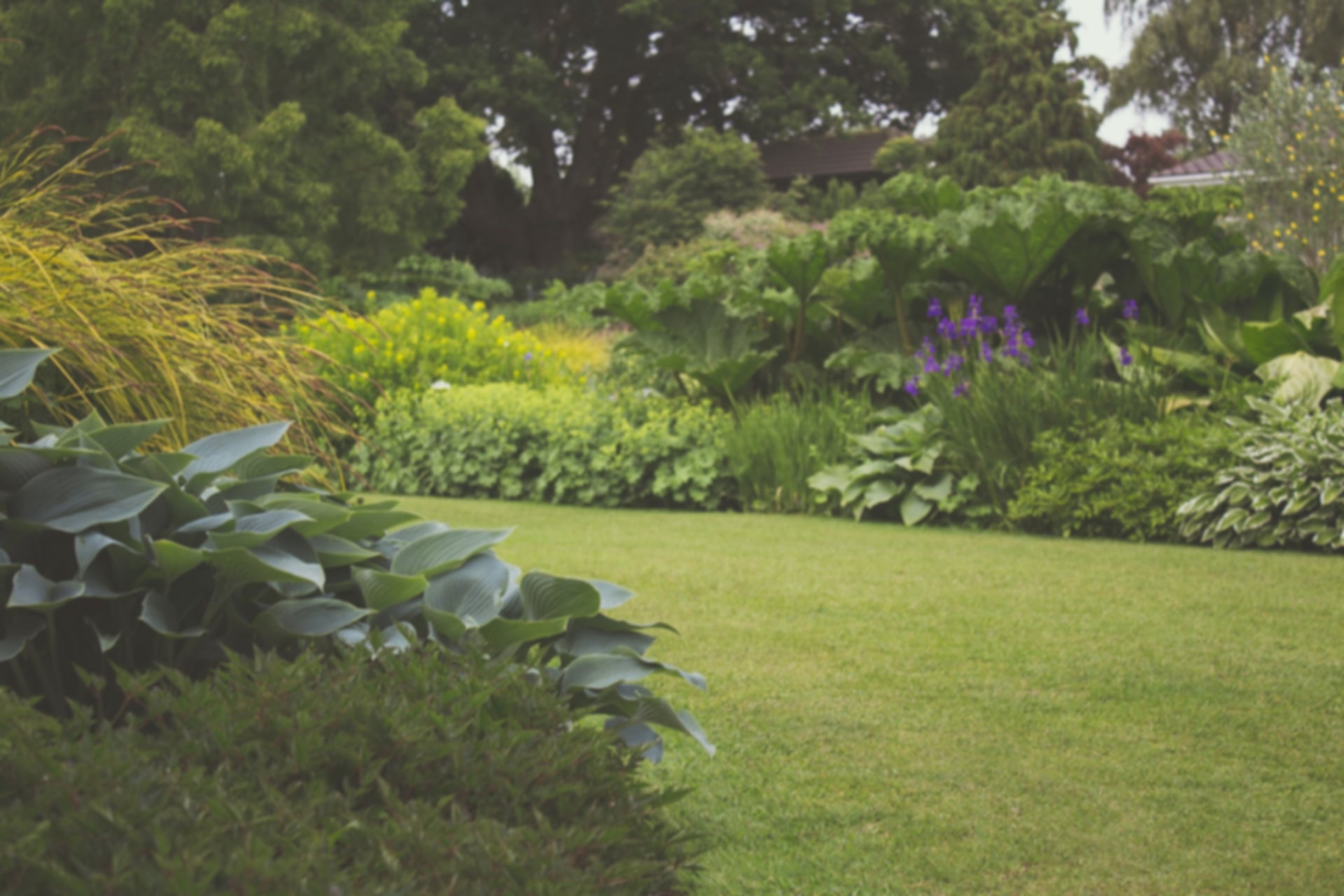 Kew Gardens: Everything about this Lovely Place!