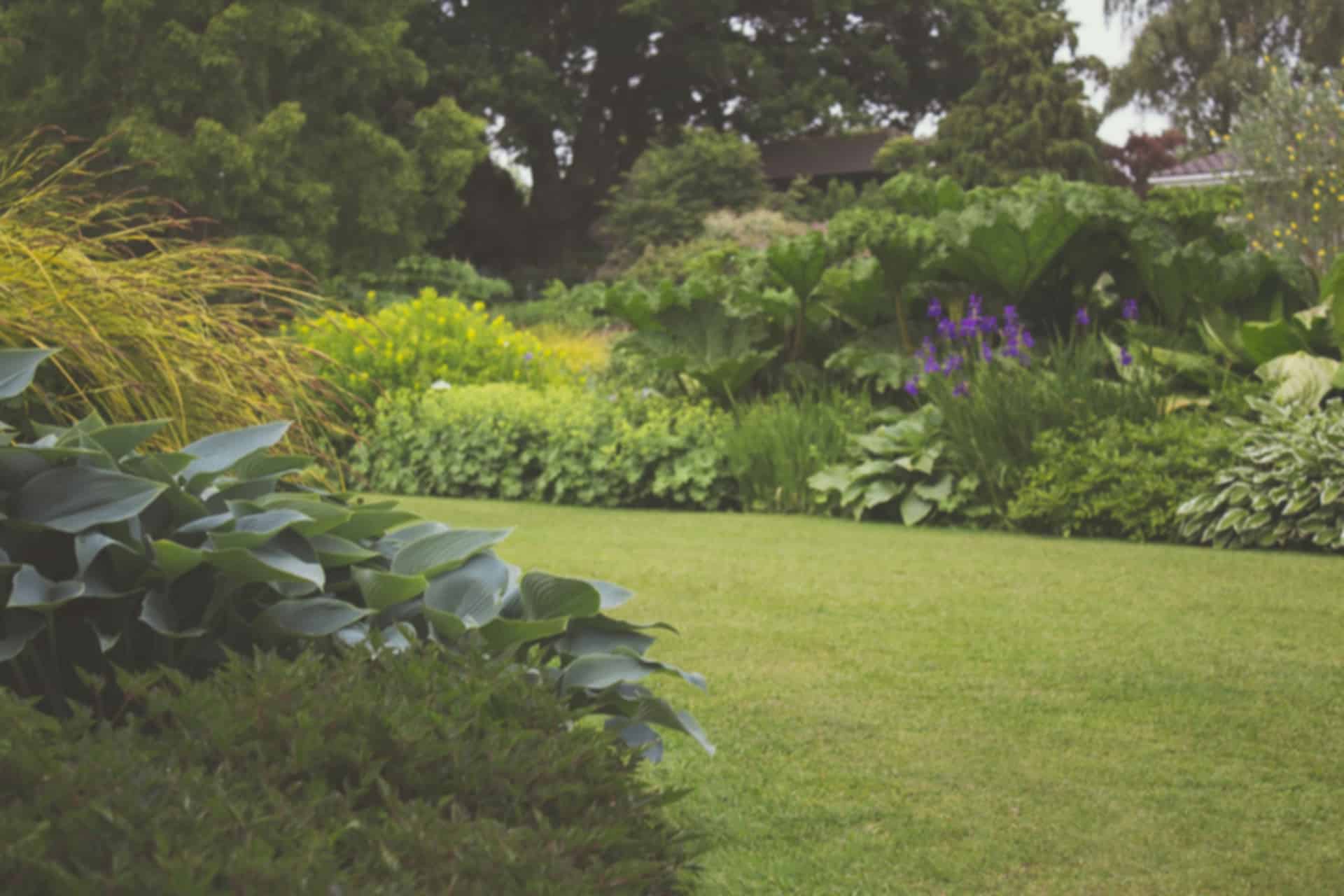 Kew Gardens: Everything about this Lovely Place!