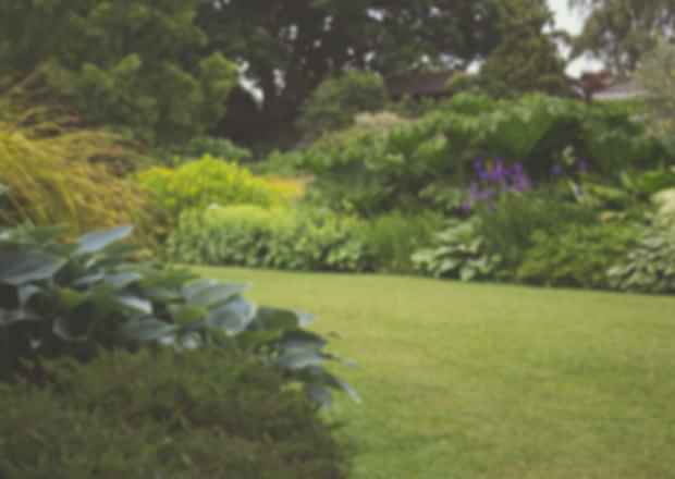 Kew Gardens: Everything about this Lovely Place!